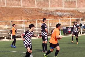 Partido
